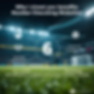 An infographic illustrating the benefits of number checking websites