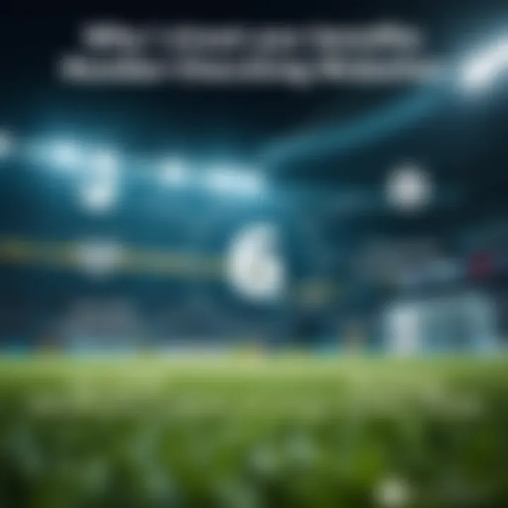 An infographic illustrating the benefits of number checking websites