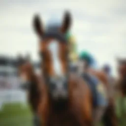 Horse racing betting fundamentals