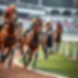 Thoroughbred horses racing at the track