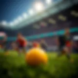 Comprehensive guide to the Toto refund application process